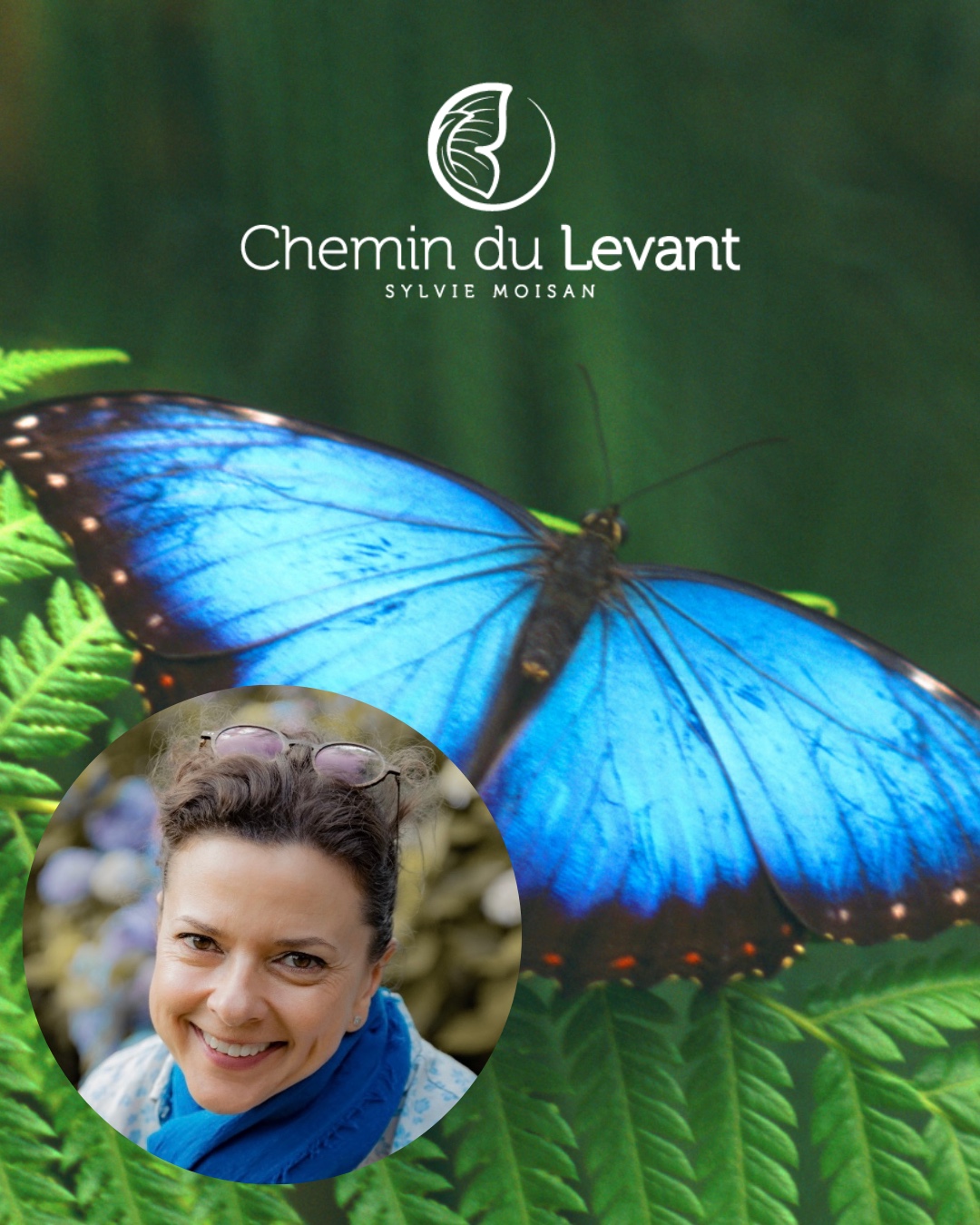 Cabinet Chemin du Levant Moisan Sylvie